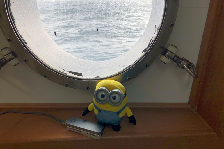 Nanopore MinION DNA sequencer with the other type of minion Nanopore MinION DNA sequencer with the other type of minion
