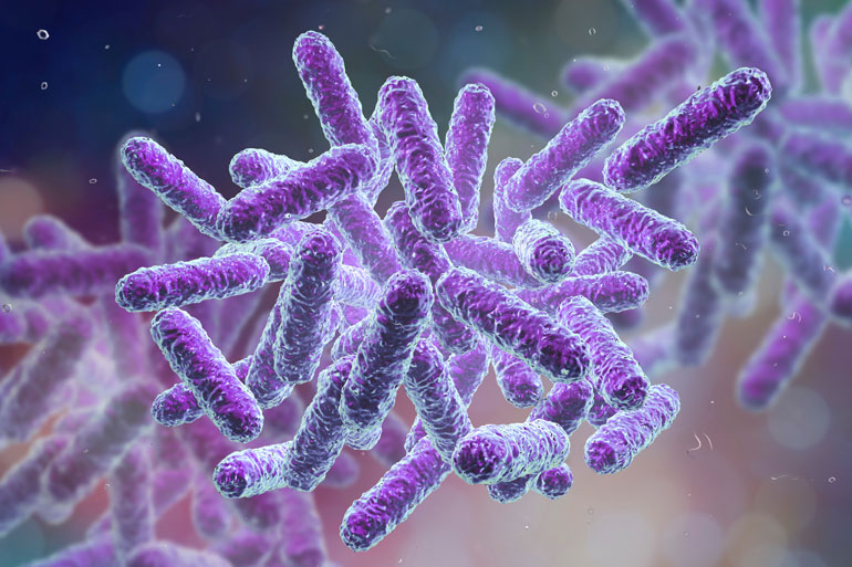 NanoOK RT was developed to trial the MinION as a diagnostic tool for necrotising enterocolitis NanoOK RT was developed to trial the MinION as a diagnostic tool for necrotising enterocolitis