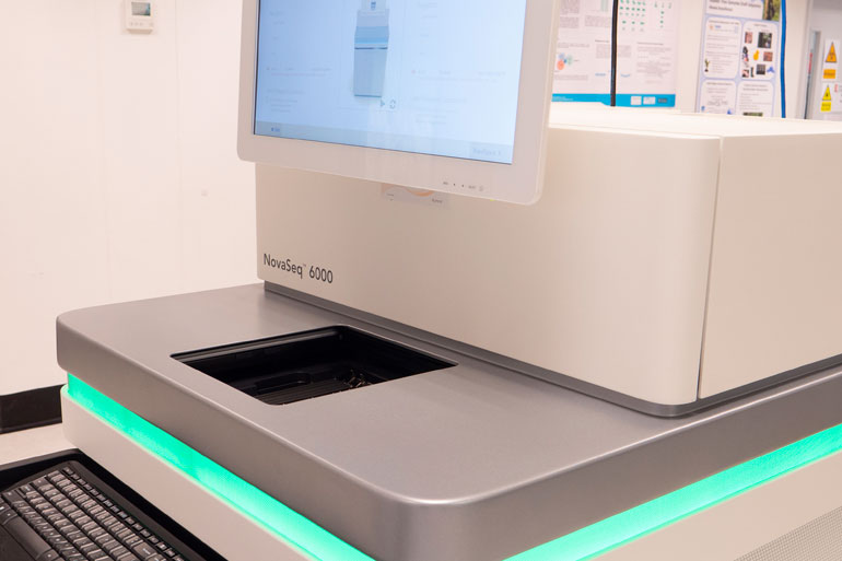 Illumina NovaSeq 6000 Illumina NovaSeq 6000