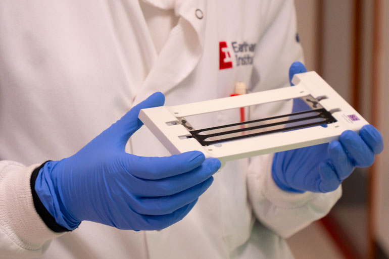 Illumina NovaSeq 6000 flow cell Illumina NovaSeq 6000 flow cell