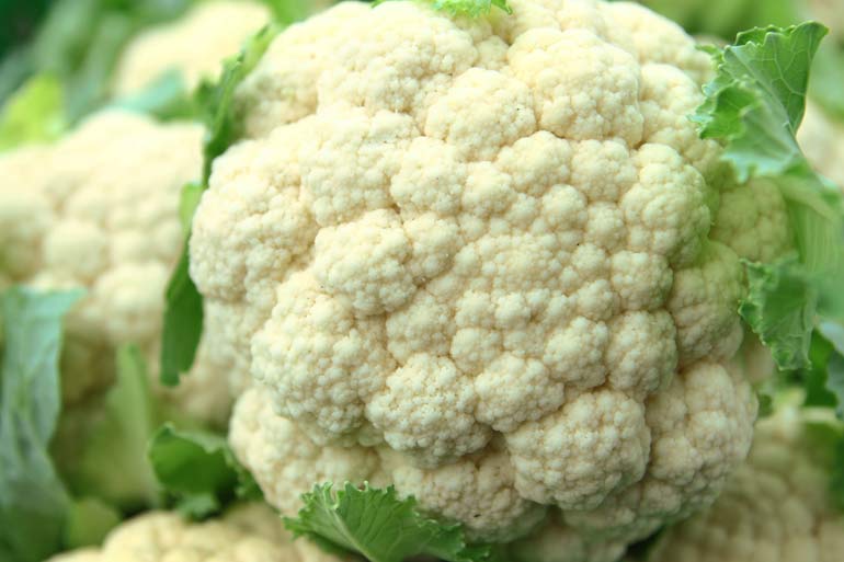 Cauliflower Cauliflower