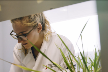Postdoctoral Researcher Hannah Rees in the Plant Genomics labs at the Earlham Institute