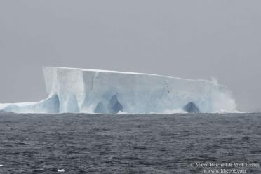 Emma Antarctic Adventure Iceberg waves crashing Bristol Island 770