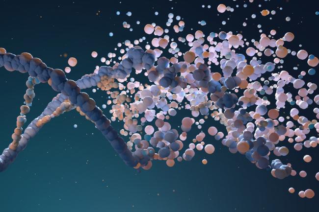 DNA strand made of small 'bubbles' dispersing out of the double helix structure