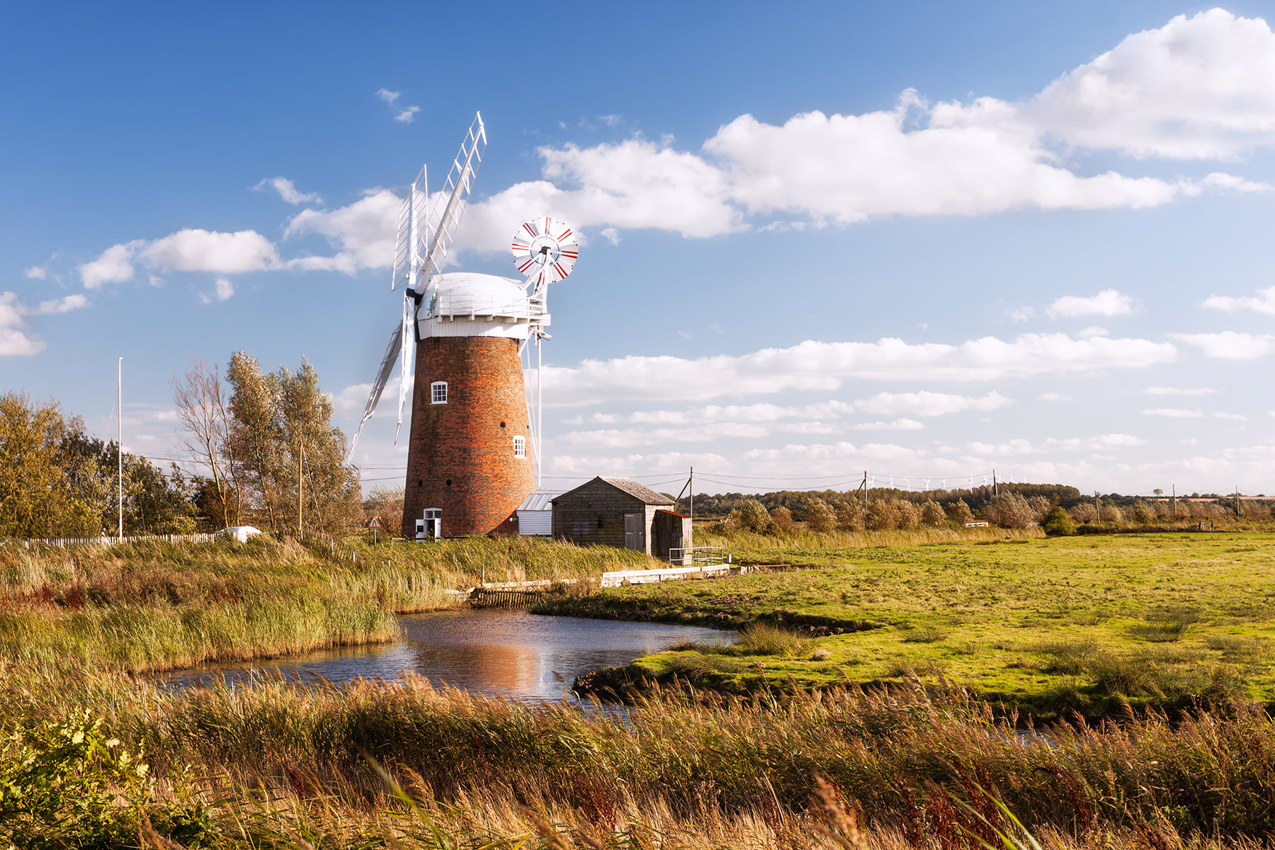 Barcoding the Norfolk Broads: discovering local biodiversity as part of project to sequence all Eukaryotic species in the UK Barcoding the Norfolk Broads: discovering local biodiversity as part of project to sequence all Eukaryotic species in the UK