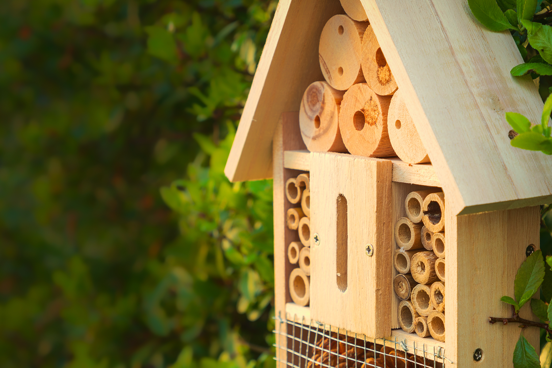 Bee a good citizen - first bee hotel survey to help save our pollinators