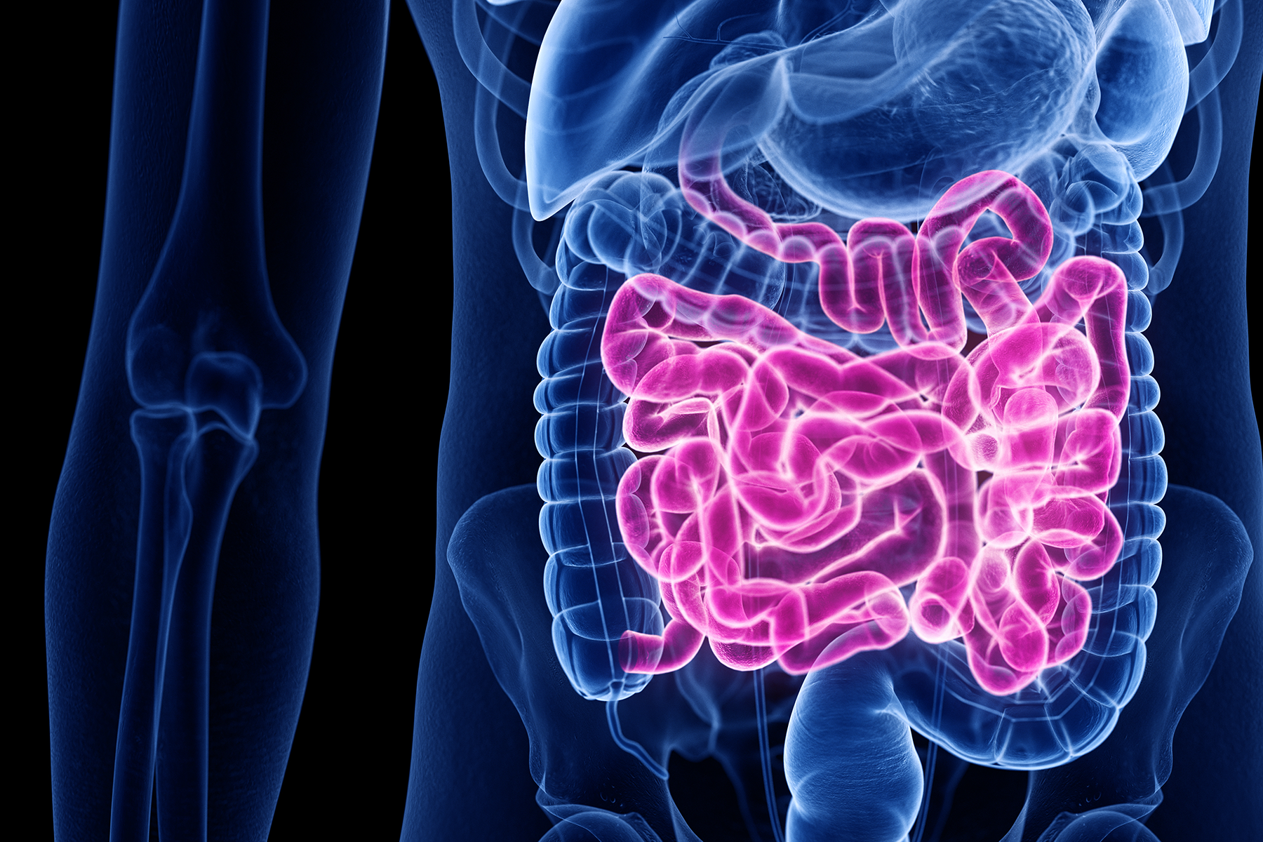 EI scientists to tackle deadly gastroenteritis thanks to £2m funding award EI scientists to tackle deadly gastroenteritis thanks to £2m funding award