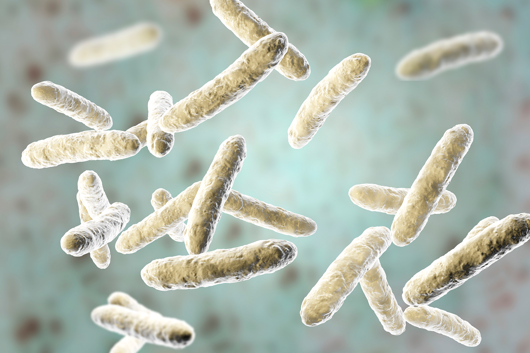 Persistence pays off in the human gut microbiome Persistence pays off in the human gut microbiome