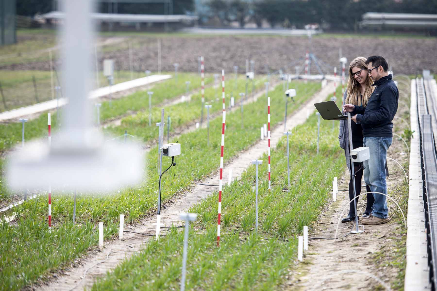 Financial analytics technology tackles ‘Big Data’ crop research Financial analytics technology tackles ‘Big Data’ crop research