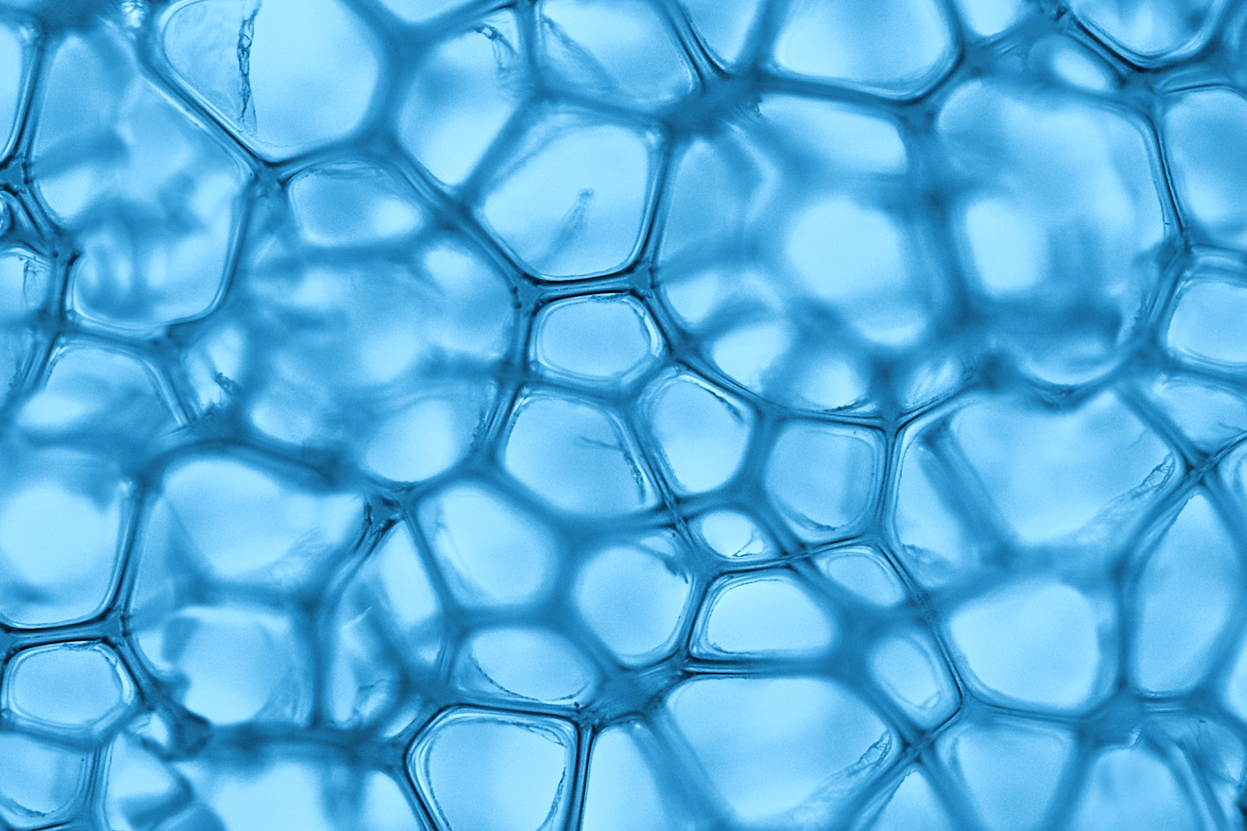 Life science strategy should not wear Covid-tinted goggles Life science strategy should not wear Covid-tinted goggles