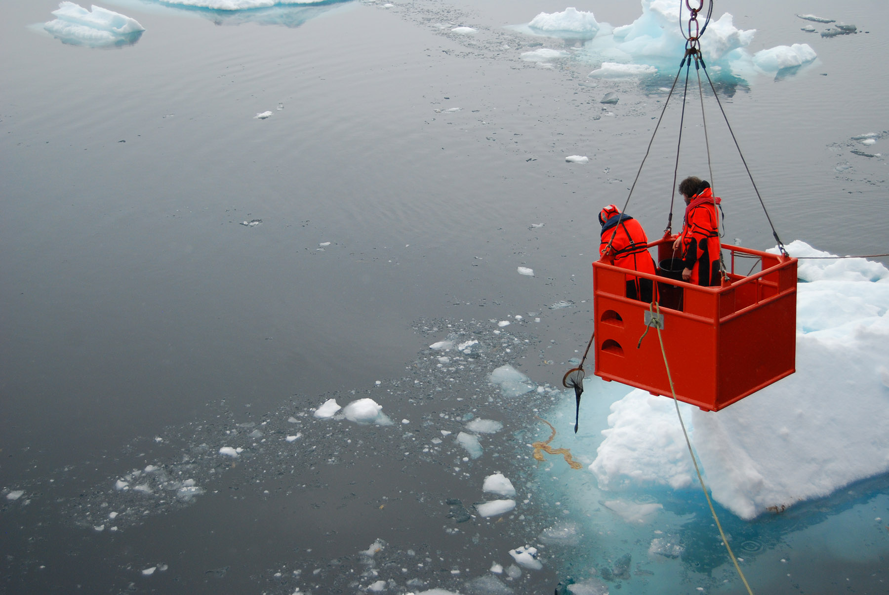 Pole to Pole: breaking point for ocean’s microbial biodiversity most likely to affect UK Pole to Pole: breaking point for ocean’s microbial biodiversity most likely to affect UK