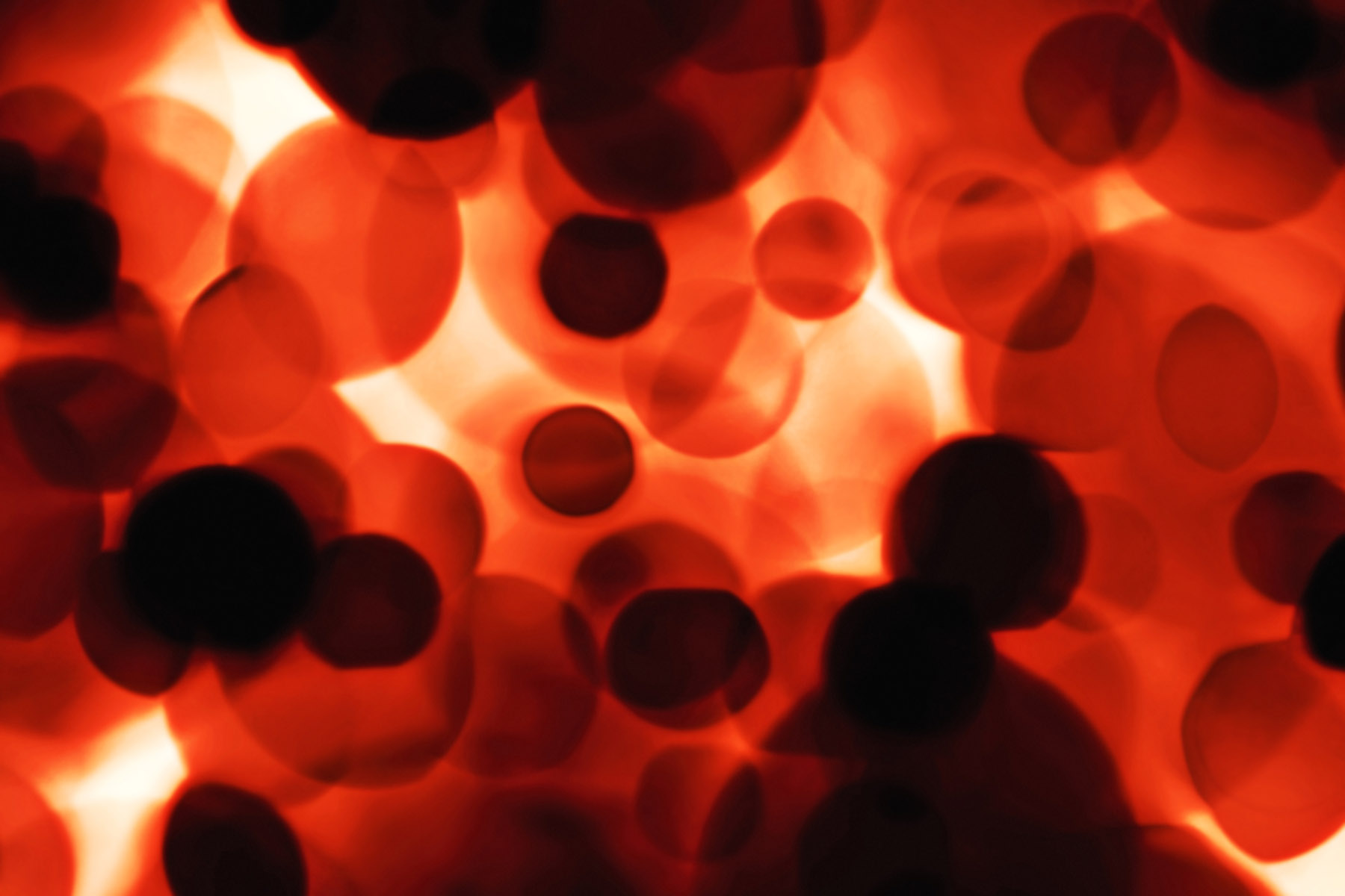 The blood boneyard: determining the fate of blood stem cells
