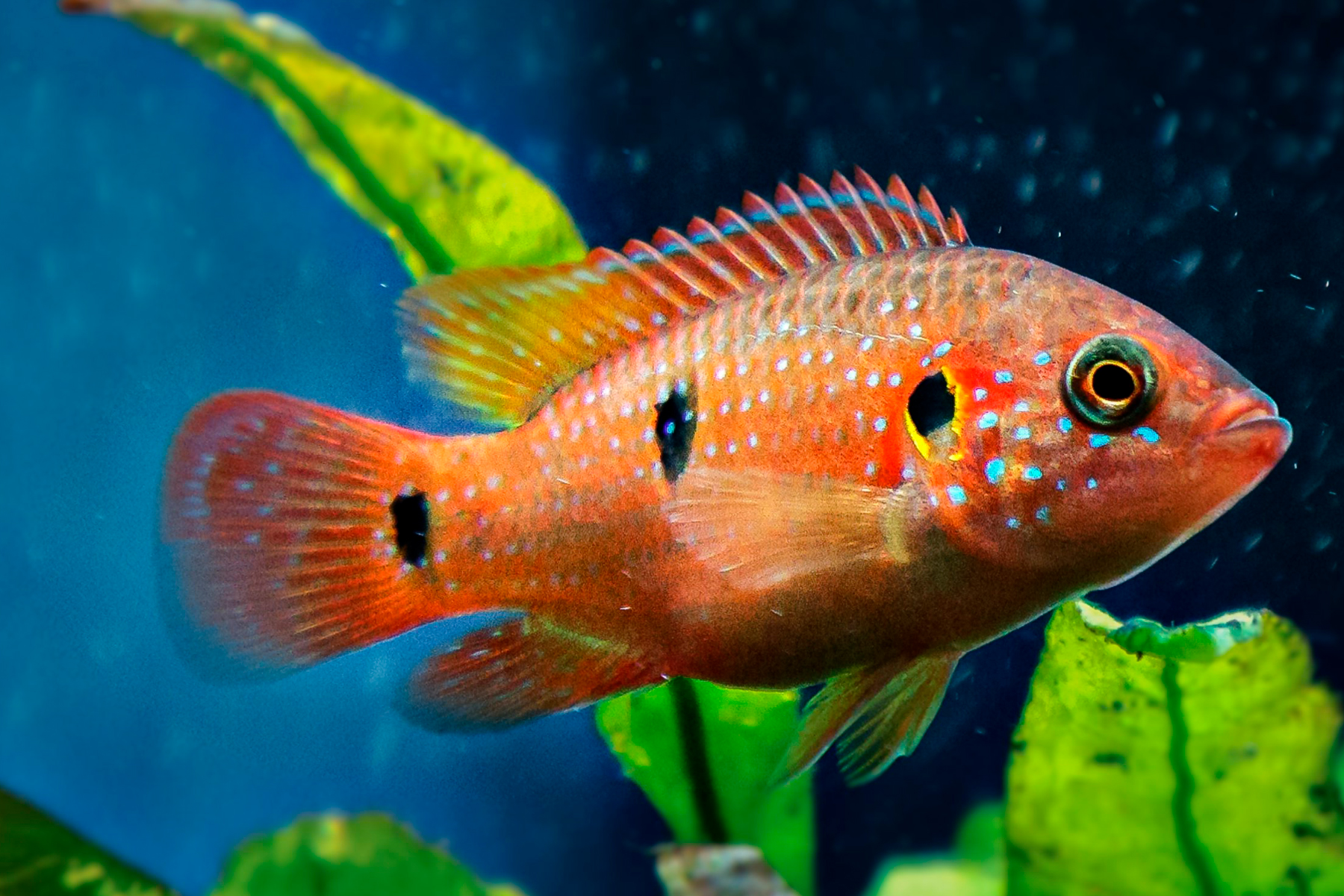 10 Surprising Things You Might Not Know About Evolution Earlham Institute 10 Surprising Things You Might Not Know About Evolution Earlham Institute