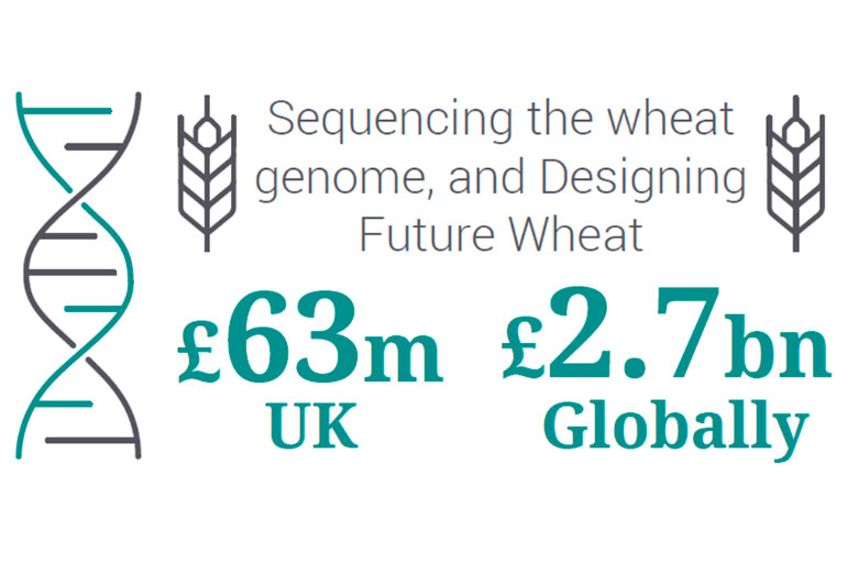 Economic benefits of the Designing Future Wheat programme Economic benefits of the Designing Future Wheat programme