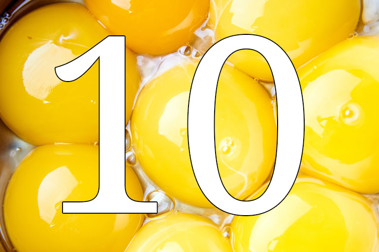 10. Salmonella, who gives a faeces? 10. Salmonella, who gives a faeces?