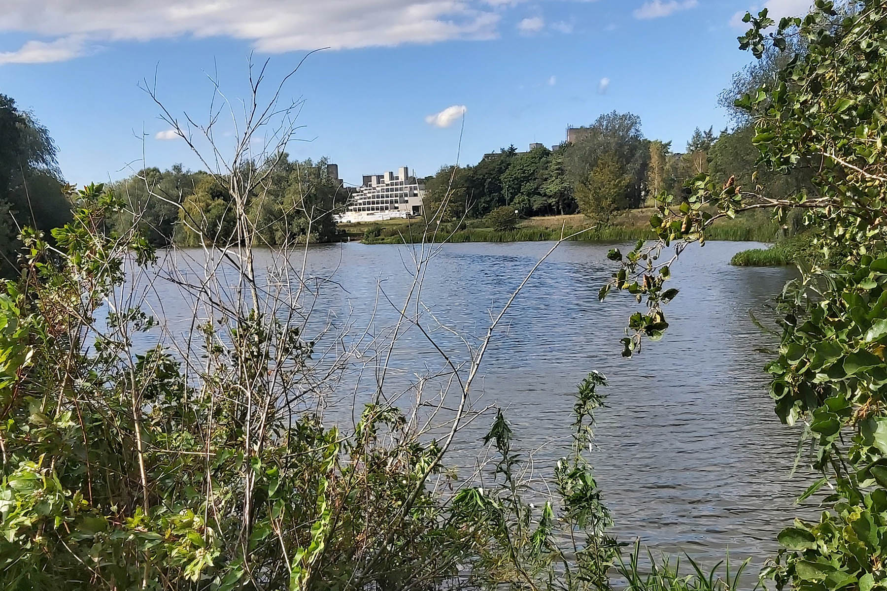 A lunchtime walk around the UEA lake is a much needed tonic. A lunchtime walk around the UEA lake is a much needed tonic.