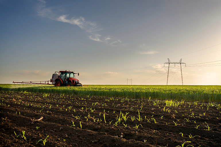 A tractor spraying pesticides over a field of crops. Image: A tractor spraying pesticides over a field of crops at sunset.