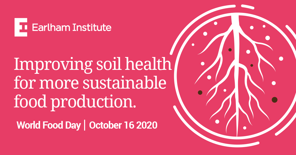 Image: This article forms part of our series on Food Security, leading up to World Food Day on October 16. Image: This article forms part of our series on Food Security, leading up to World Food Day on October 16.