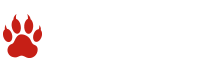 Endangered mammals fact Endangered mammals fact
