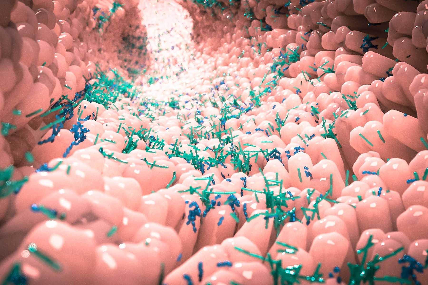 3D illustration of the human microbiome in the gut