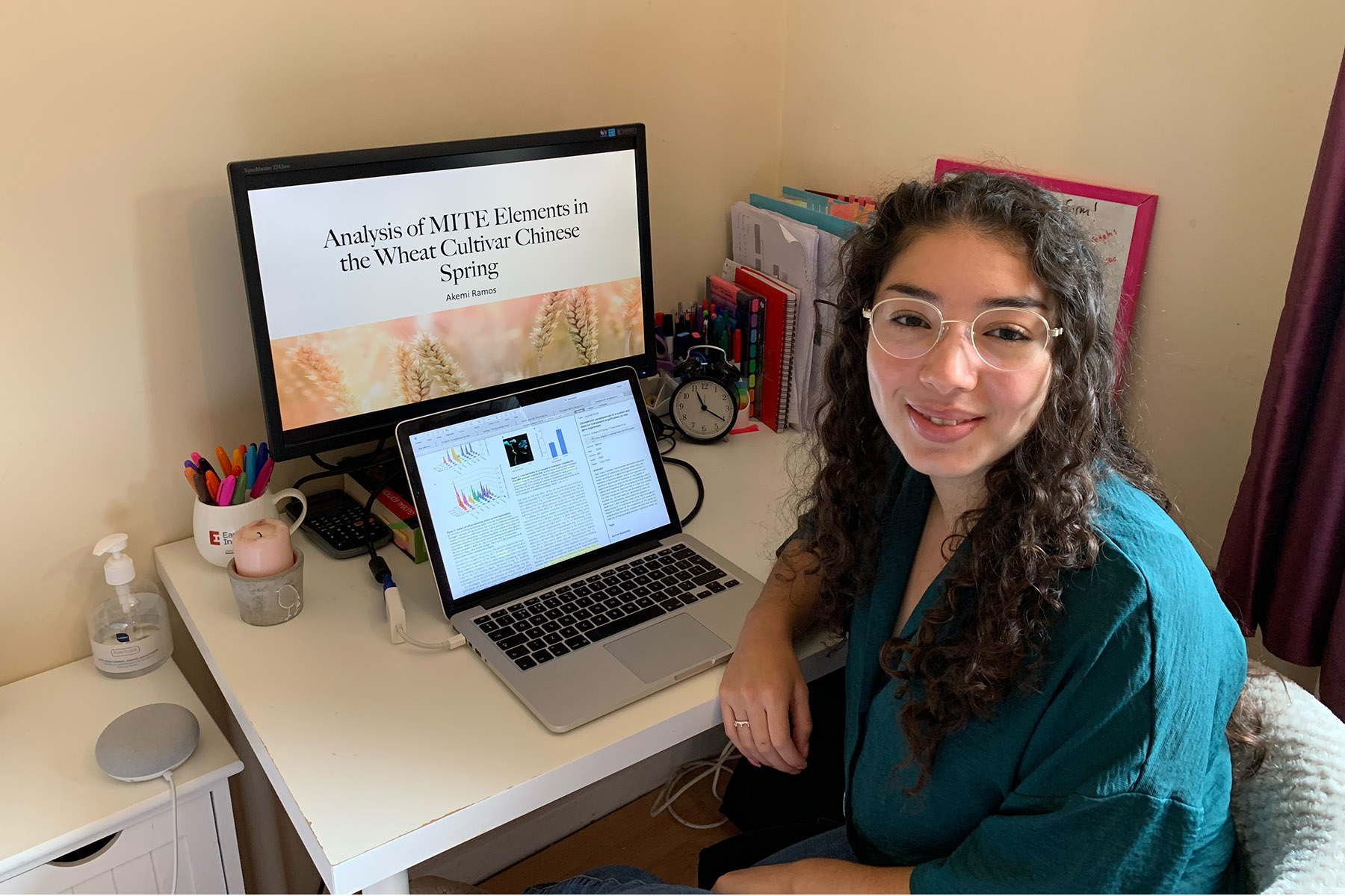Akemi at her desk at home preparing to present her final seminar at EI Akemi at her desk at home preparing to present her final seminar at EI