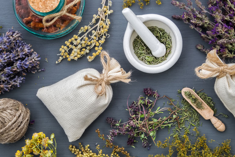 Plants can be used as medicinal treatments for many kinds of different ailments Plants can be used as medicinal treatments for many kinds of different ailments
