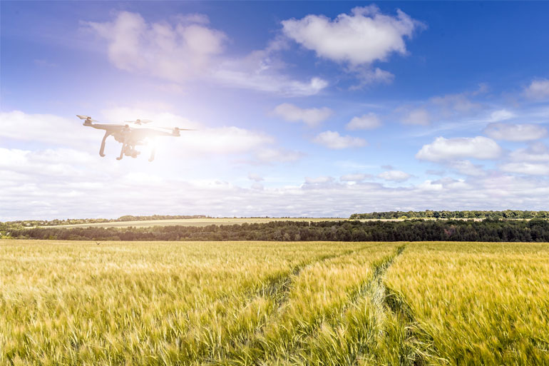 The use of robots and AI can help to monitor crop health and improve crop yield The use of robots and AI can help to monitor crop health and improve crop yield