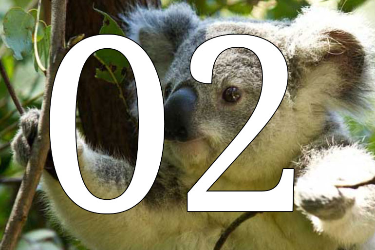 Ten years of leading the field decoding complex non-human genomes - koala Ten years of leading the field decoding complex non-human genomes - koala