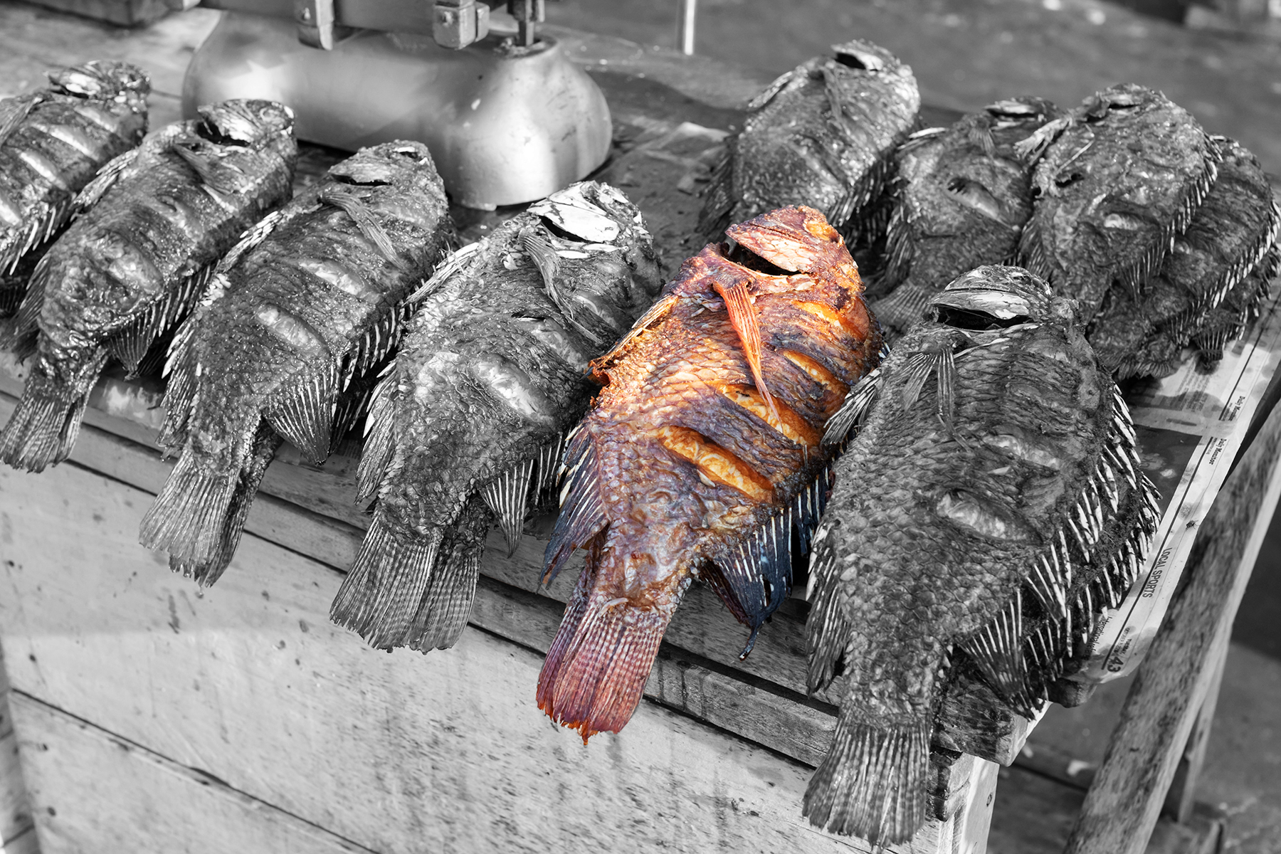 Tilapia is one of the most important farmed fish worldwide Image shows recently a collection of recently caught fresh tilapia laying on their sides on a BBQ
