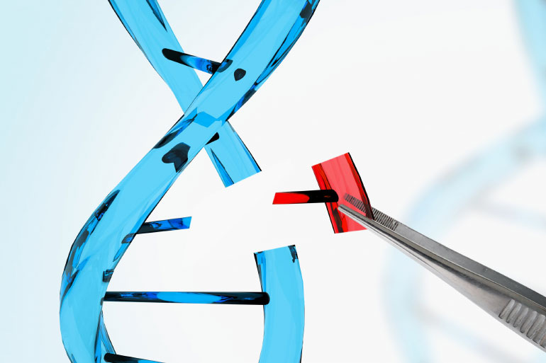 Insertion of DNA Insertion of DNA