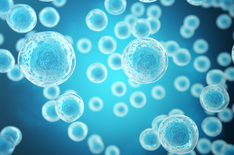 Single cell genomics Single cell genomics