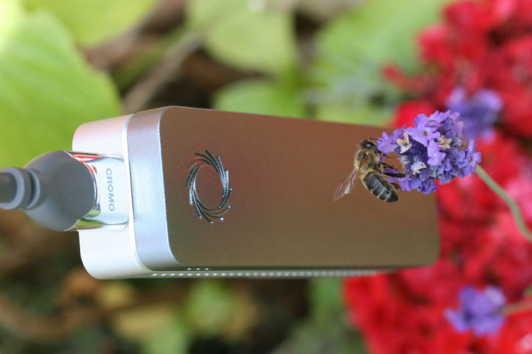 Three ways EI is helping bees - Oxford Nanopore MinION for sequencing bee pollen