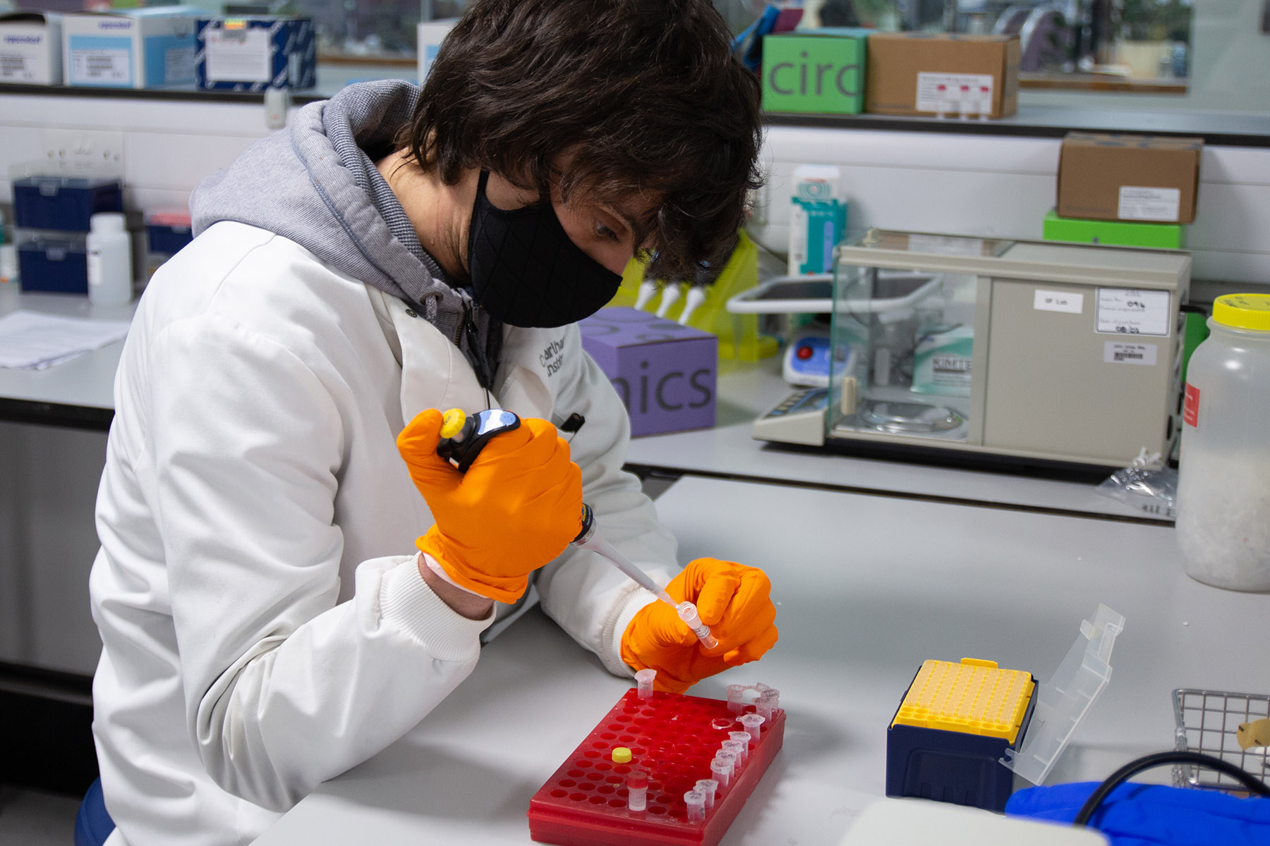 Senior Research Assistant Alex Durrant in the Genomics Labs at Earlham Institute Senior Research Assistant Alex Durrant in the Genomics Labs at Earlham Institute