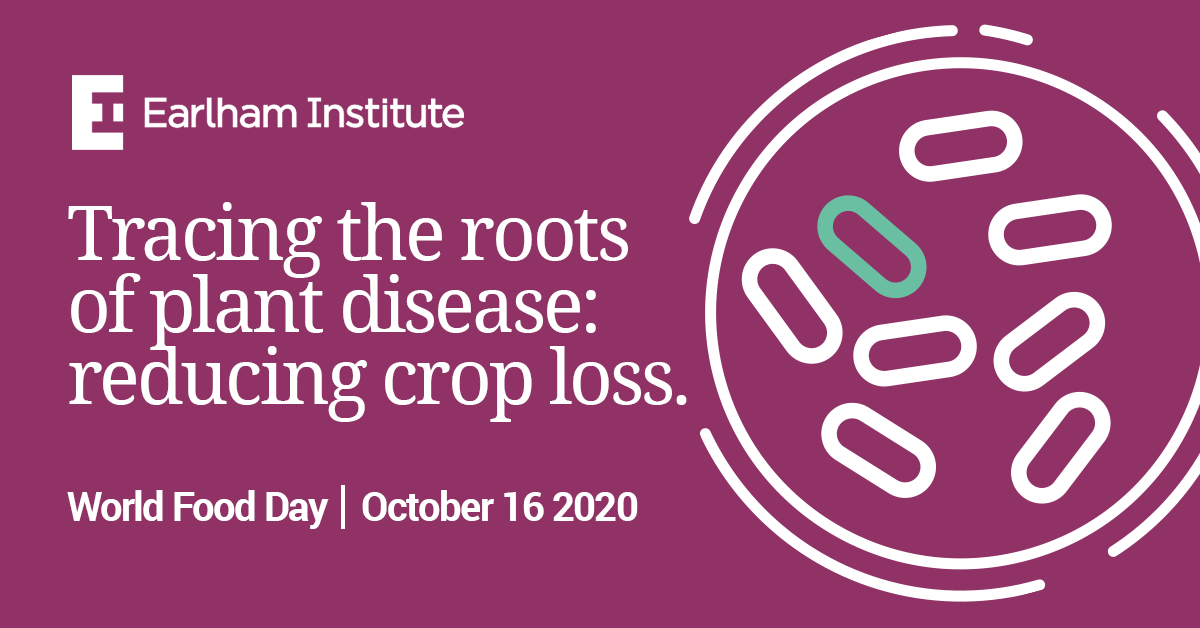 Image: This article forms part of our series on Food Security, leading up to World Food Day on October 16. Image: This article forms part of our series on Food Security, leading up to World Food Day on October 16.