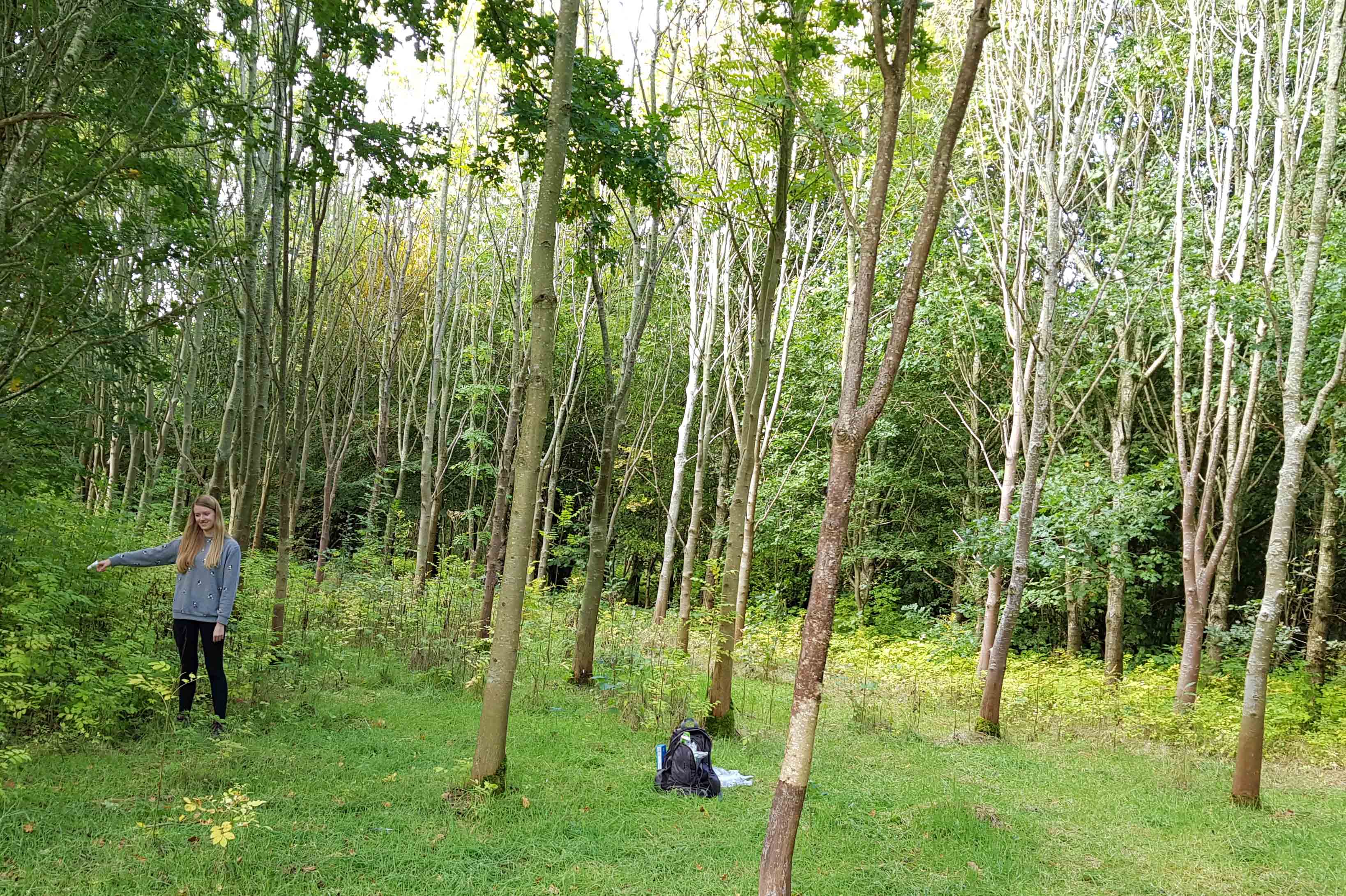 Jess spent her Year in Industry looking at ash dieback, going out sampling trees Jess spent her Year in Industry looking at ash dieback, going out sampling trees