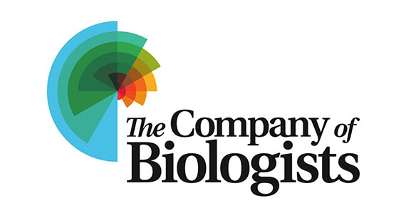 The Company of Biologists The Company of Biologists