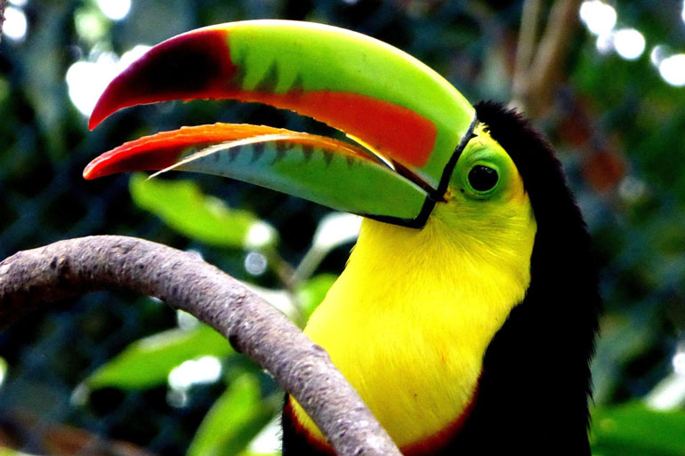 A big data cyberinfrastructure to keep pace with Colombia’s natural capital A big data cyberinfrastructure to keep pace with Colombia’s natural capital