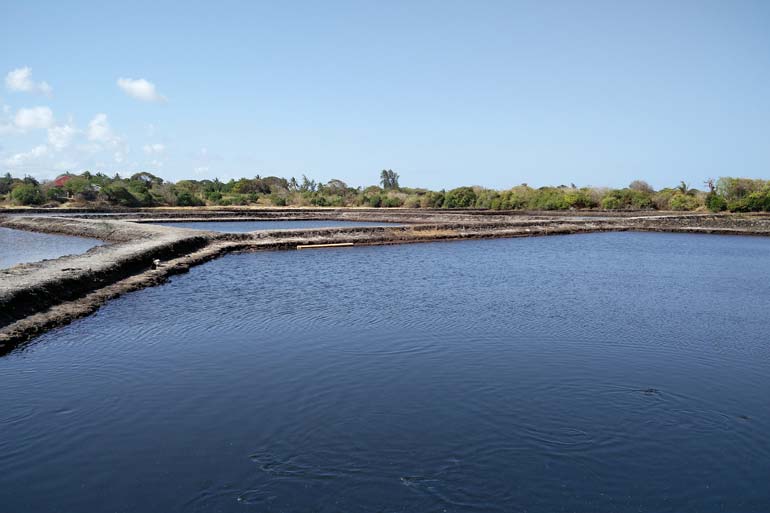 Double fish production while preserving biodiversity – can it be done? Double fish production while preserving biodiversity – can it be done?