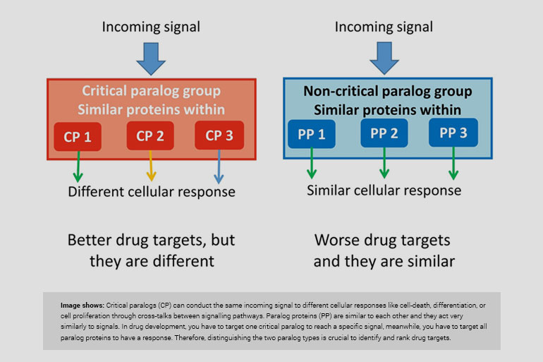 Critical genes unravelled to understand human diseases and support drug discovery Critical genes unravelled to understand human diseases and support drug discovery