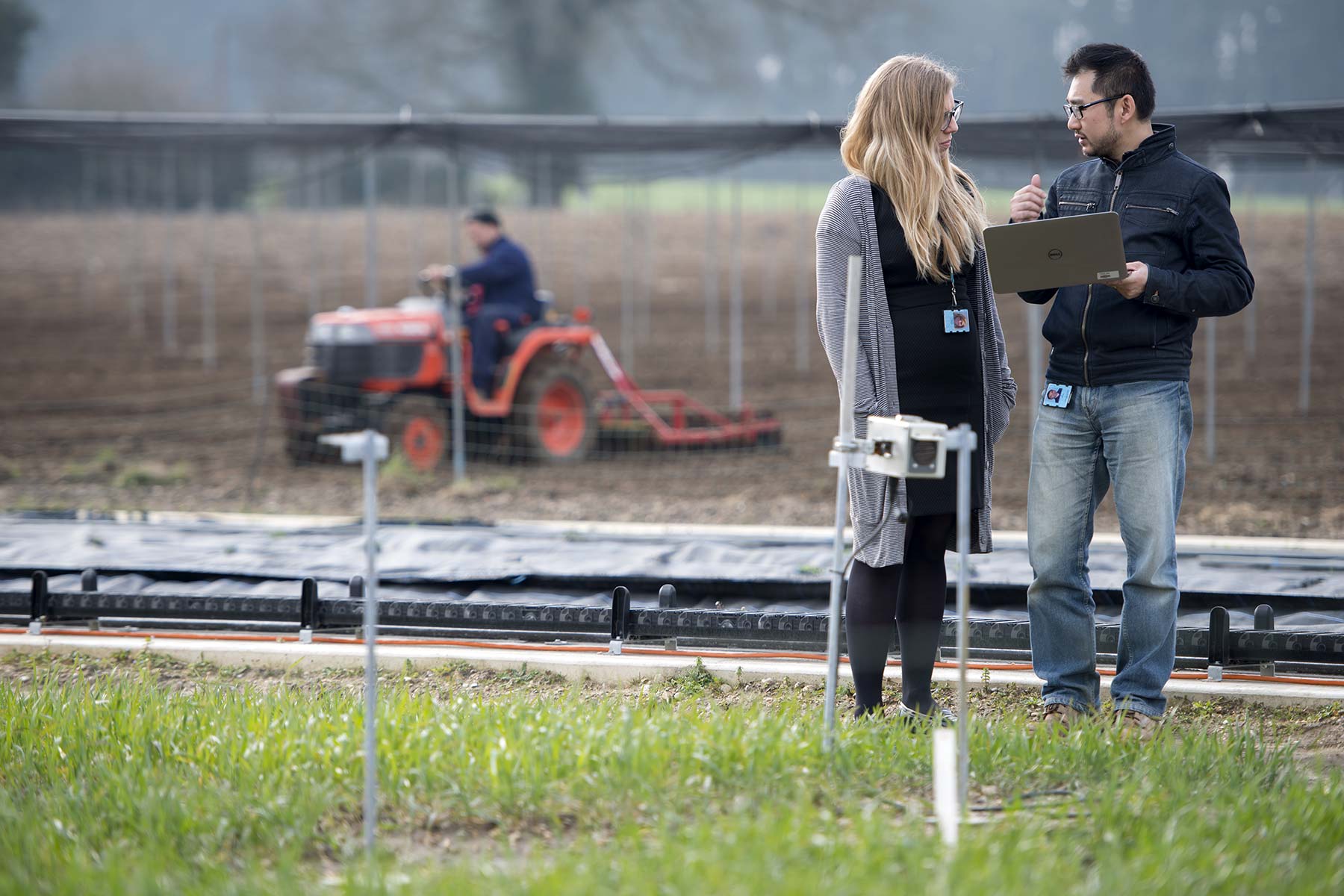 Strike a pose - bringing crop analysis into the 21st Century with automated field phenomics Strike a pose - bringing crop analysis into the 21st Century with automated field phenomics