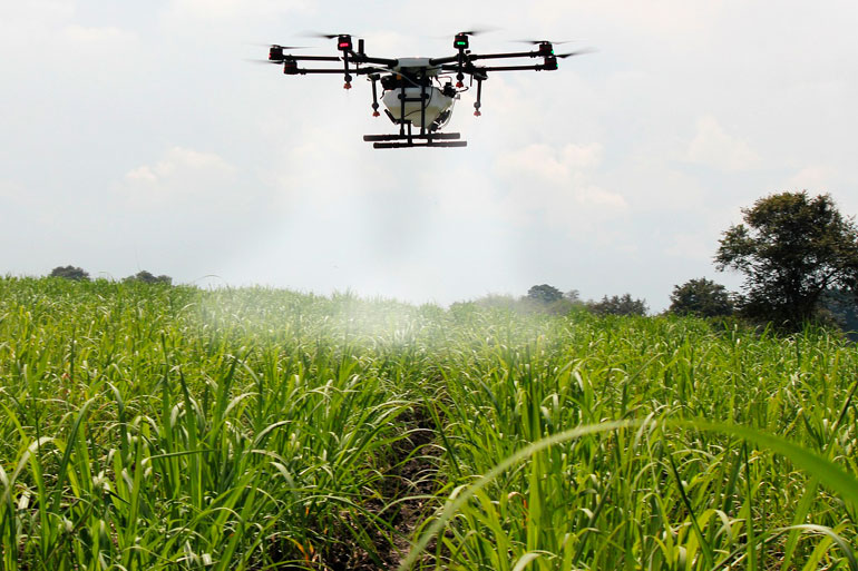 Big-data tool launched to deliver smart agriculture for lab and field Big-data tool launched to deliver smart agriculture for lab and field