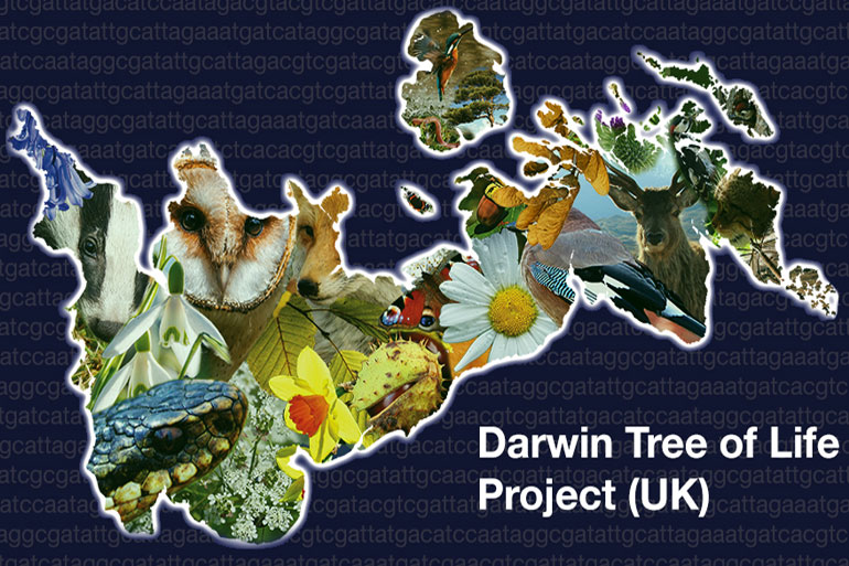 Earlham Institute branches out to Darwin Tree of Life