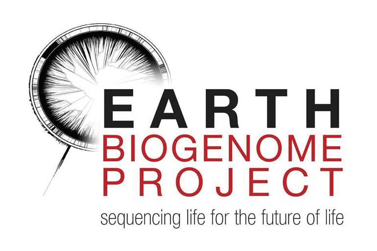Decoding Life on Earth Decoding Life on Earth