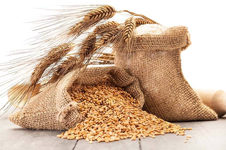 Earlham Institute receives supercomputing award for wheat research Earlham Institute receives supercomputing award for wheat research