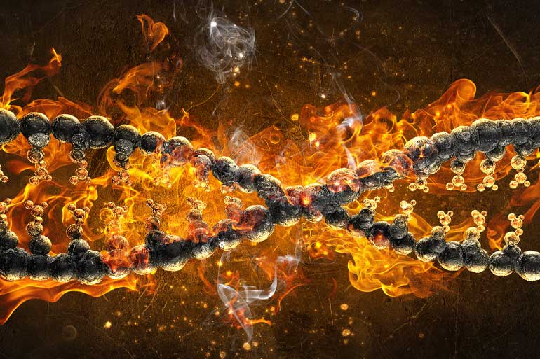 Hot processor speeds up UK genome analysis Hot processor speeds up UK genome analysis