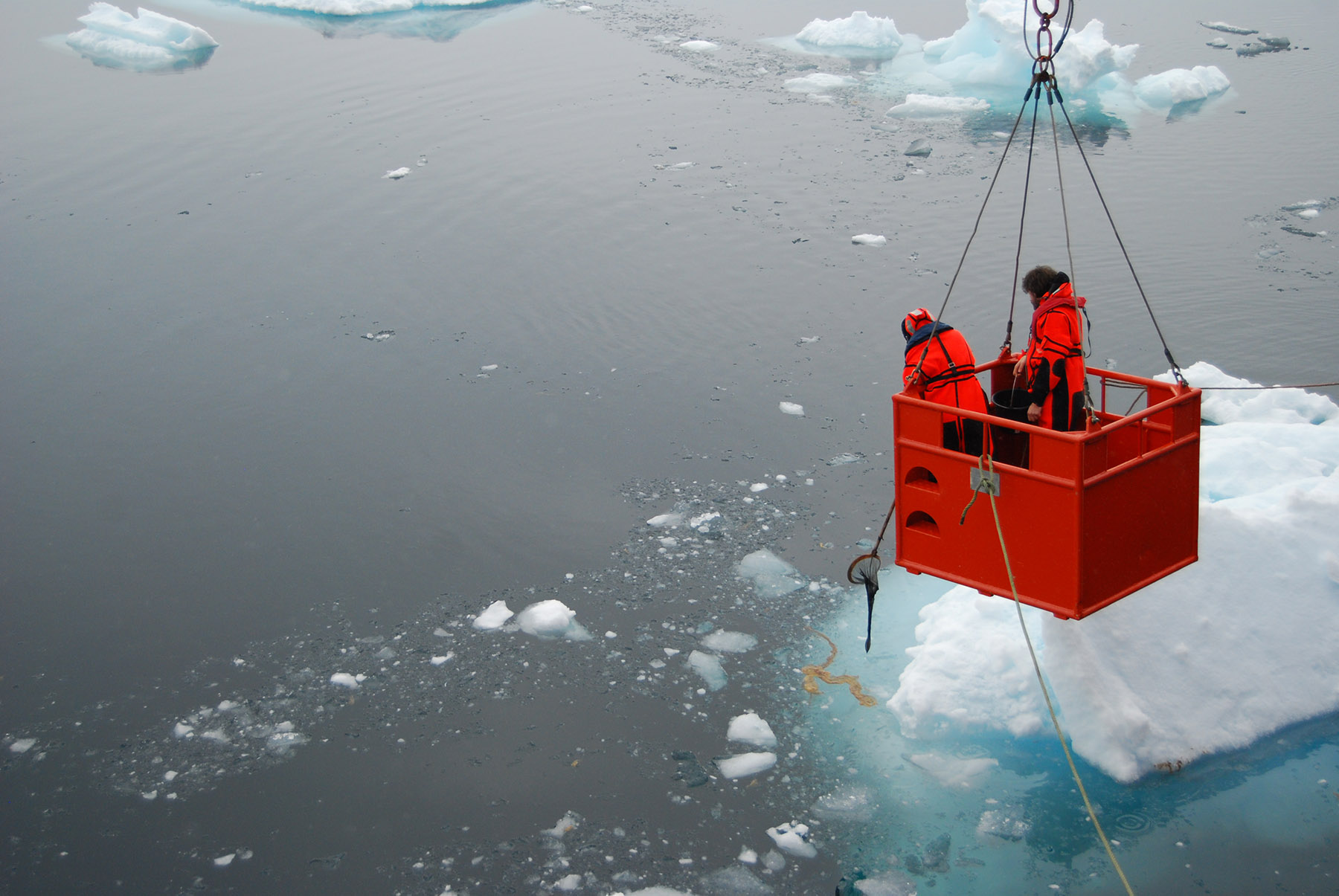 Researchers exploring the Antarctic as part of their Algal investigations