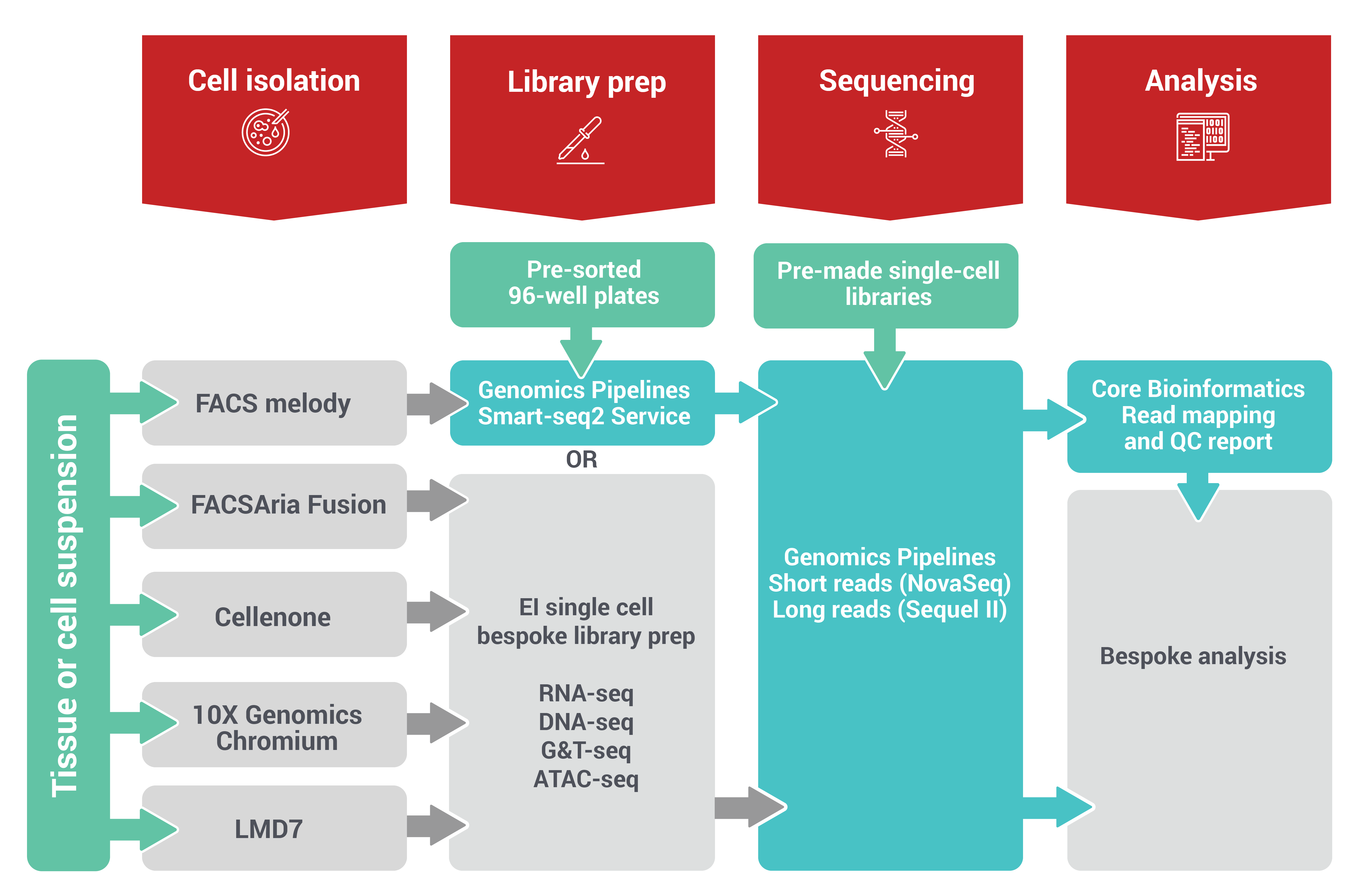 Image: A flowchart diagram explaining how to work with the single cell team