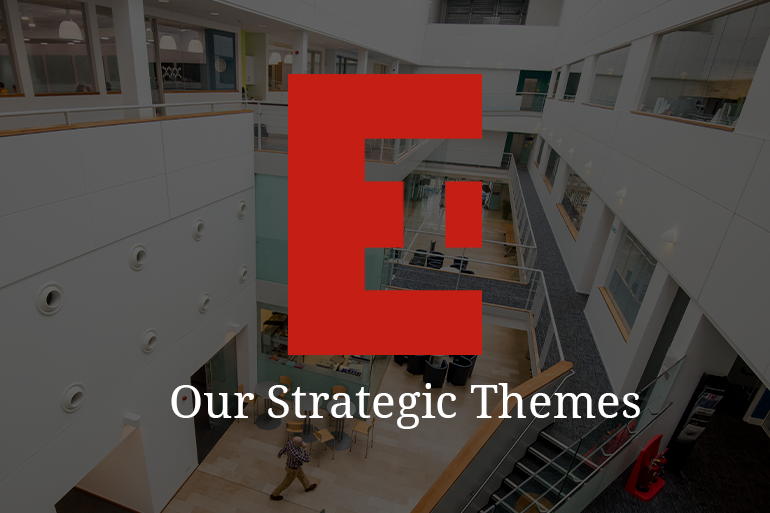 Our Strategic Themes