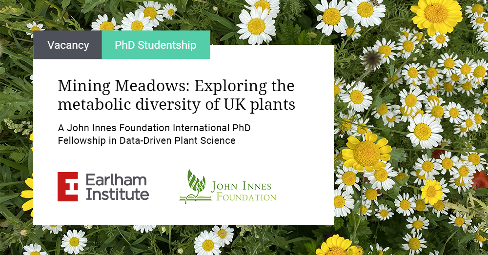 Image: Advert for Mining Meadows - a John Innes Foundation PhD Fellowship