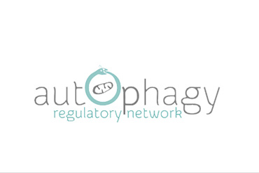 Autophagy Autophagy